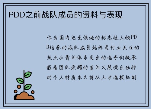 PDD之前战队成员的资料与表现