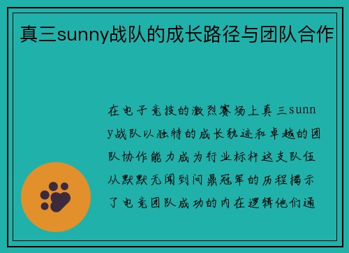 真三sunny战队的成长路径与团队合作
